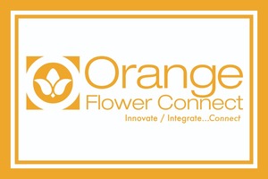 Orange Flower Connect